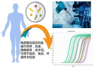 中國科大先研院與卓源健康共建人體微生物組研究聯合實驗室，聚焦前沿技術開發