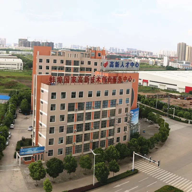 火炬之名，點亮創新之路 高新區以技術服務鑄就專利高地